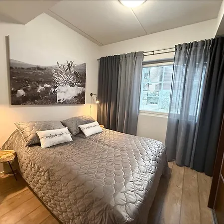 Levillas Skimbaajankuja 6 As3, 2 Pass Included Appartement *