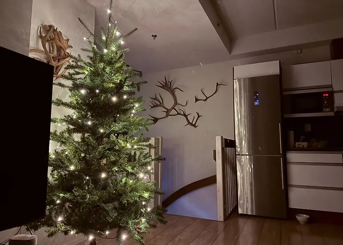 Levillas Skimbaajankuja 6 As3, 2 Pass Included Levi